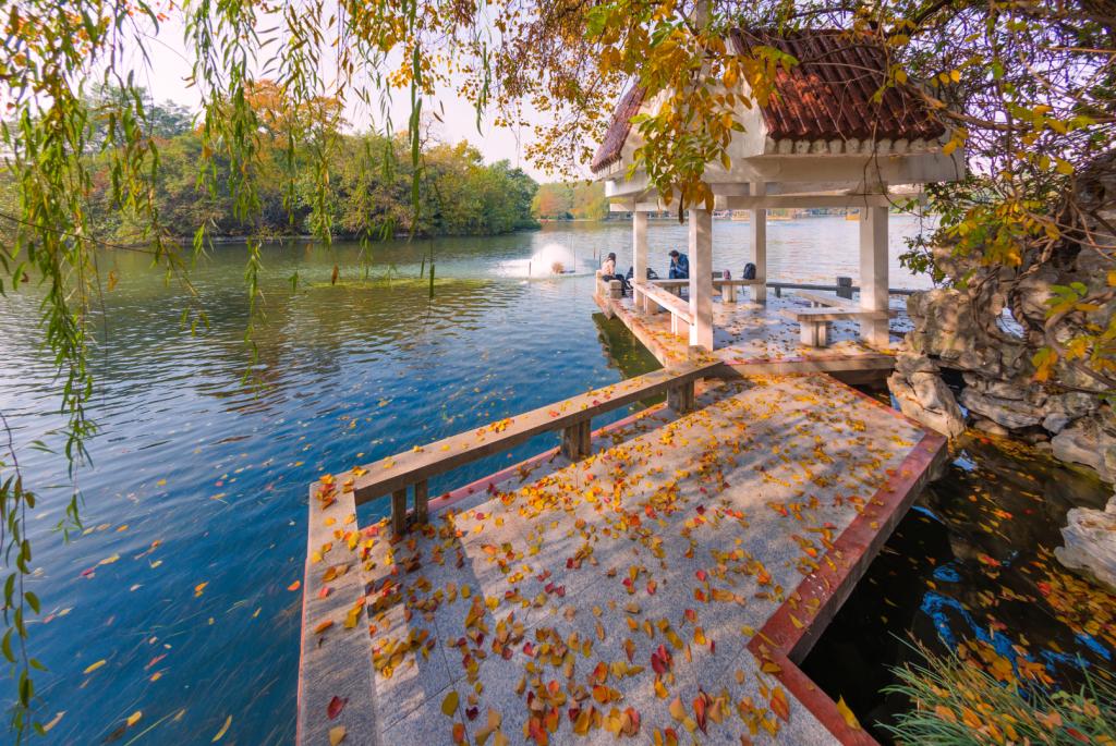 冰球突破豪华版官方网站党委理论学习中心组专题学习全国教育大会精神