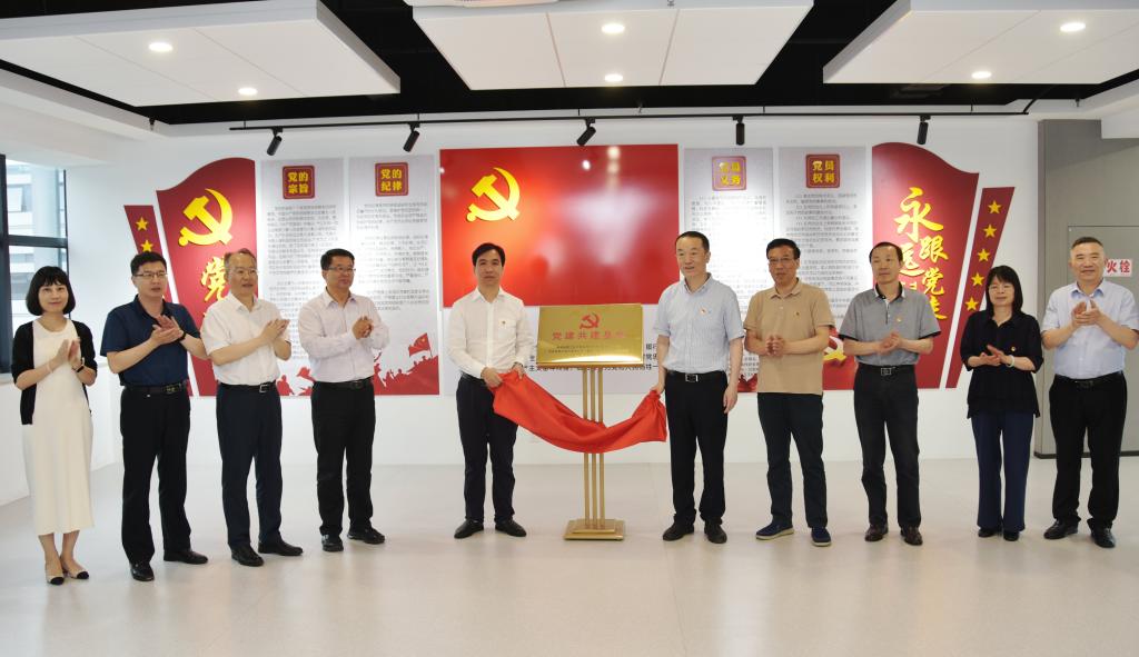 冰球突破豪华版官方网站党委同设计院有限公司党总支开展联学共建